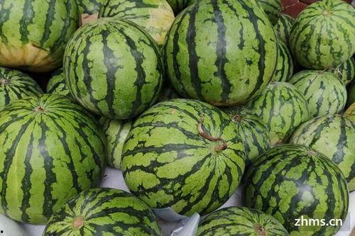 吃瓜网免费吃瓜黑,揭秘网络狂欢背后的秘密